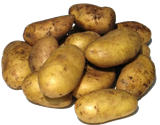 Aardappel Bonken vastkokend per 5 kg